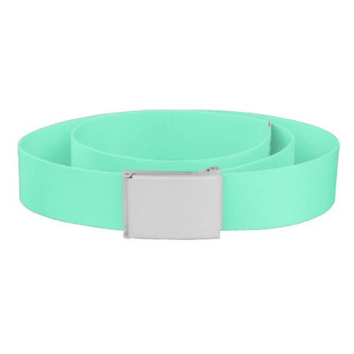 Solid aquamarine aqua mint belt