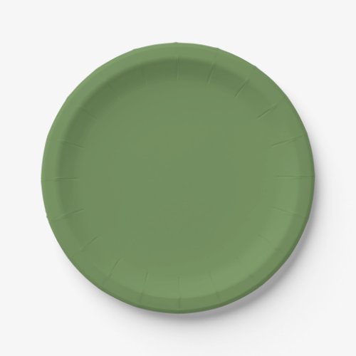 Solid Boston fern rustic green Paper Plates