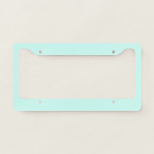 Solid cameo green mint soft turquoise license plate frame