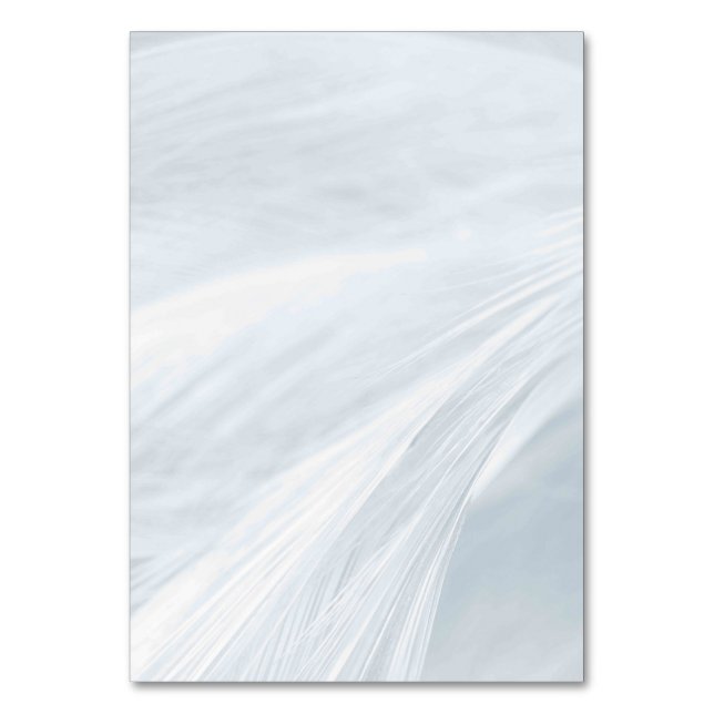 Solid Color American Table Number Card  (Front)