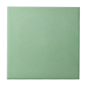 Solid Light Green Color Decorative Ceramic Tiles Zazzle