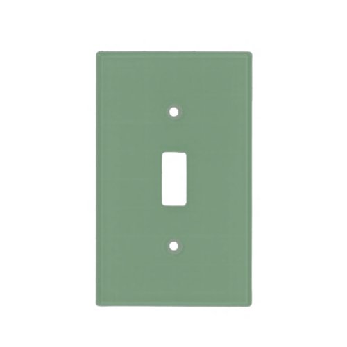 Solid color basil smoke green light switch cover