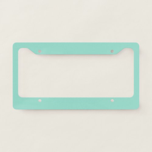 Solid color Beach Glass plain aqua green mint  License Plate Frame