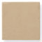 Solid Color: Camel Brown
