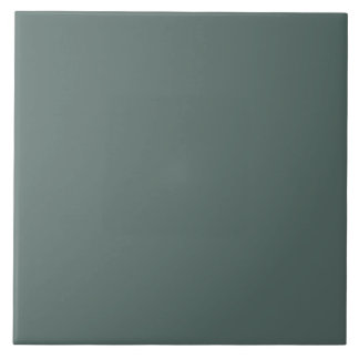 Solid Color Cool Neutral Green Undertone 2026 COTY Ceramic Tile