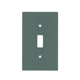 Solid Color Cool Neutral Green Undertone 2026 COTY Light Switch Cover