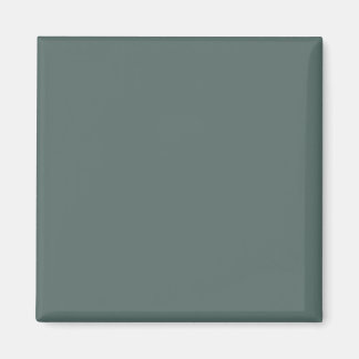 Solid Color Cool Neutral Green Undertone 2026 COTY Magnet