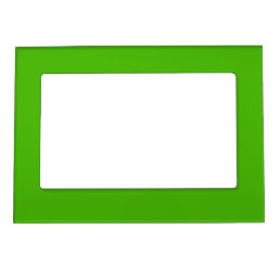 Solid color kelly green magnetic frame
