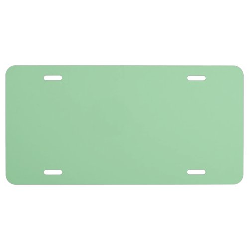Solid Color Mint Green License Plate