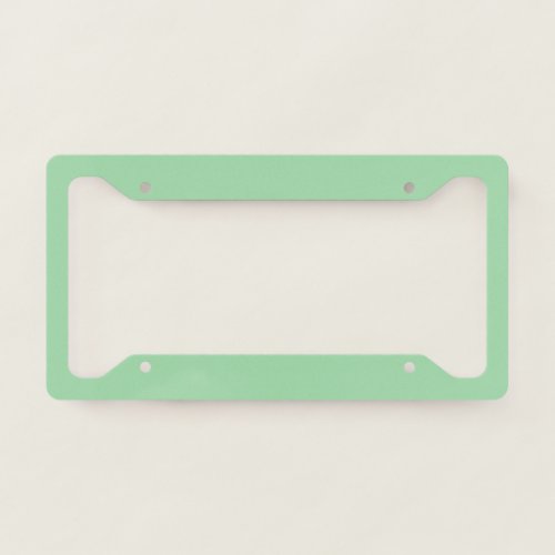 Solid Color Mint Green License Plate Frame