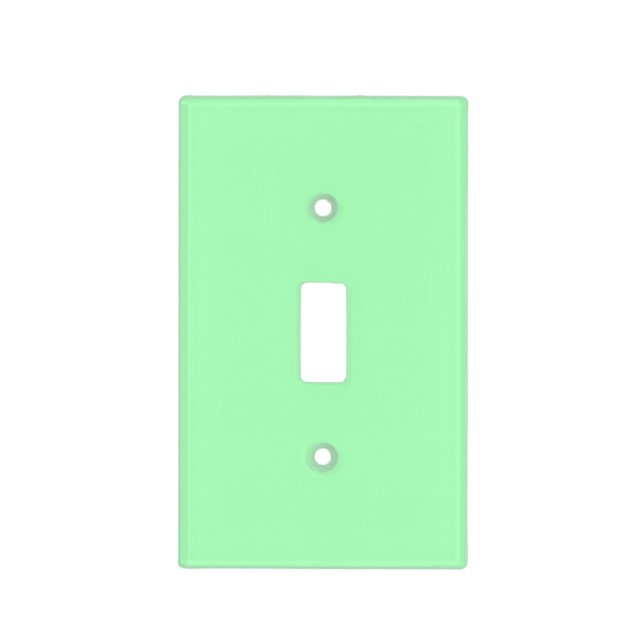 Solid Color Mint Green Light Switch Cover (Front)