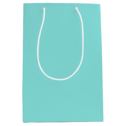 Solid color misty teal turquoise medium gift bag