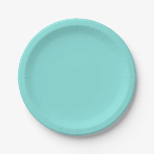 Solid color misty teal turquoise paper plates