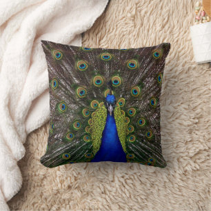 Solid color Peacock Pillow Designs