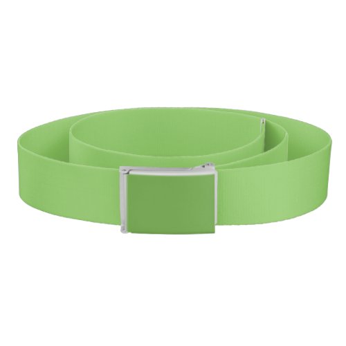 Solid color plain apple orchard pastel green belt