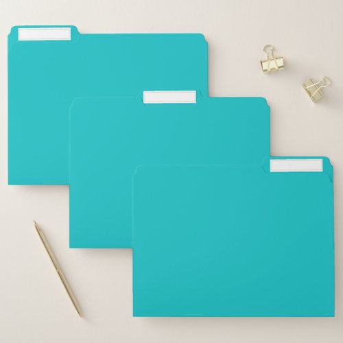 Solid color plain bright turquoise file folder
