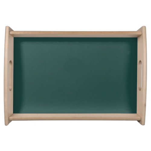 Solid color plain dark emerald green serving tray