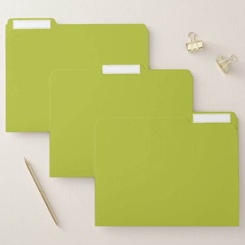 Solid color plain lime grape green file folder