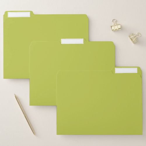 Solid color plain lime green lemon grass file folder