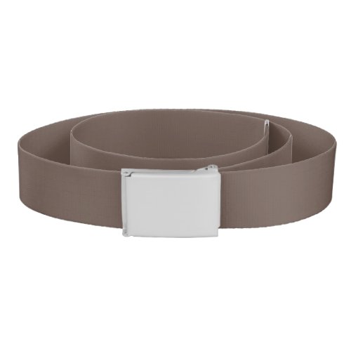 Solid color plain medium taupe pastel brown belt