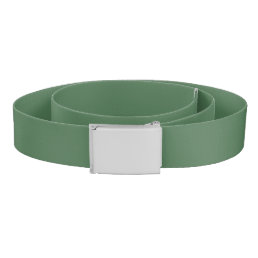Solid color plain Moss Green Belt
