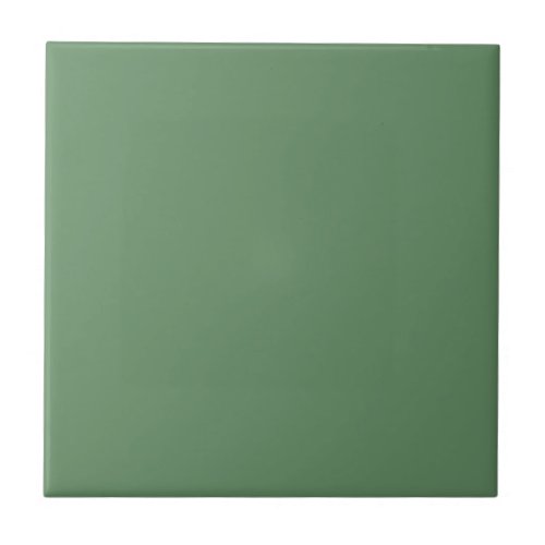Solid color plain pastel light green Stone Green Ceramic Tile