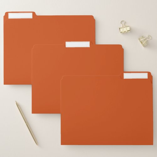 Solid color plain rusty burnt orange file folder