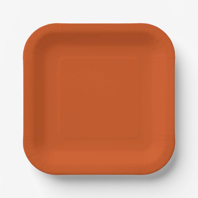 Solid color plain rusty burnt orange paper plates (Front)