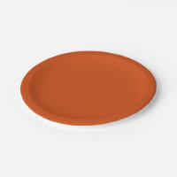 Burnt orange paper plates new arrivals