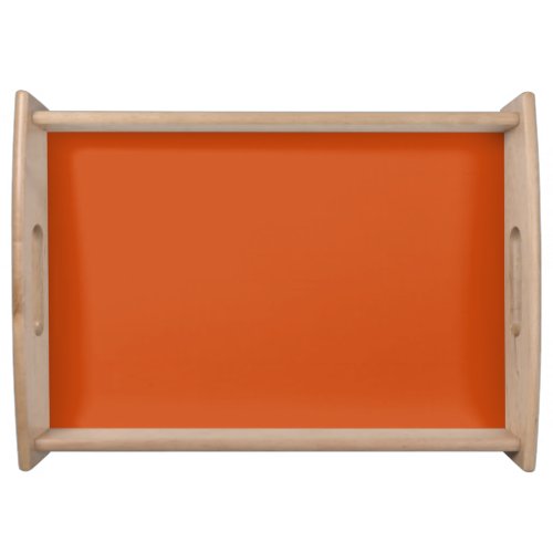 Solid color plain rusty burnt orange serving tray