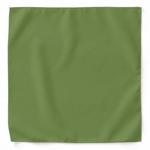 Solid color plain thyme sage green  bandana