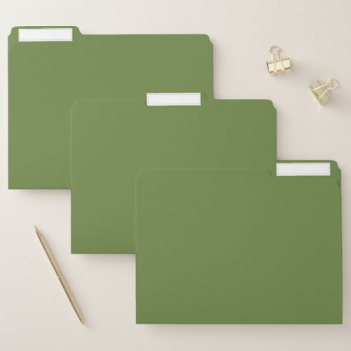 Solid color plain thyme sage green  file folder