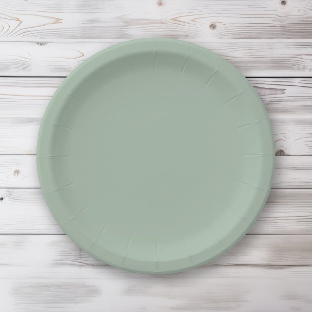 Solid color Sage Mist light green Paper Plates (Creator Uploaded)
