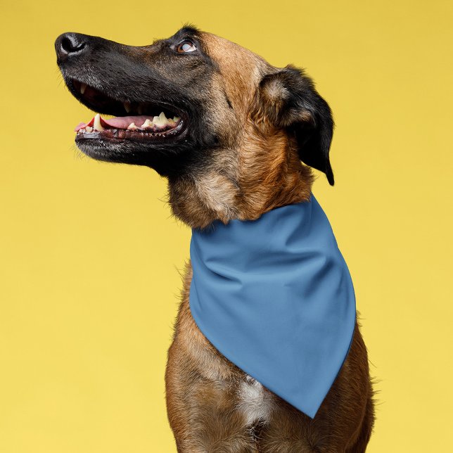 Solid Color Steel Blue Bandana (Creator Uploaded)
