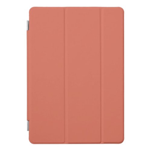 Solid color terracotta brown iPad pro cover