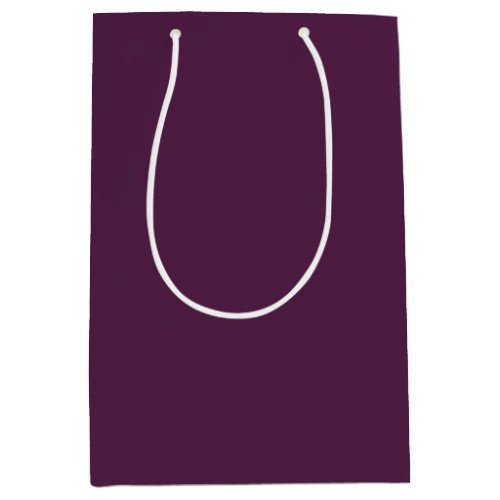 Solid eggplant purple medium gift bag