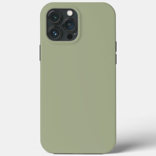 Solid Gray Green by Premium Collections iPhone 13 Pro Max Case