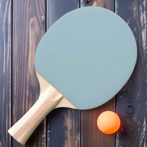 Solid Light Sky Color Ping Pong Paddle