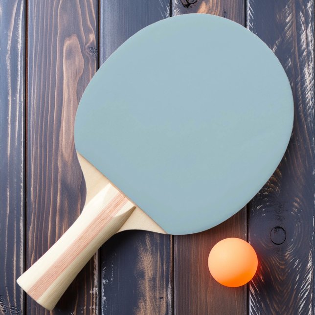 Solid Light Sky Color Ping Pong Paddle (Creator Uploaded)