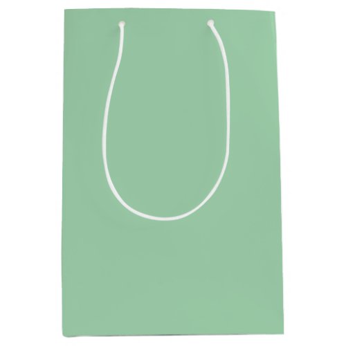 Solid Mint Green Medium Gift Bag