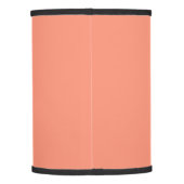 Solid peach lamp shade (Back)