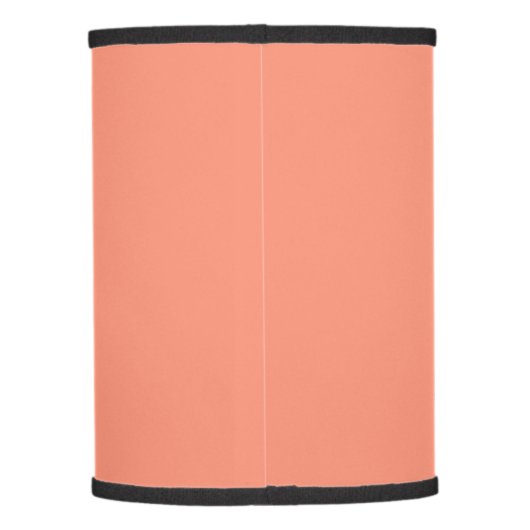 Solid peach lamp shade (Back)