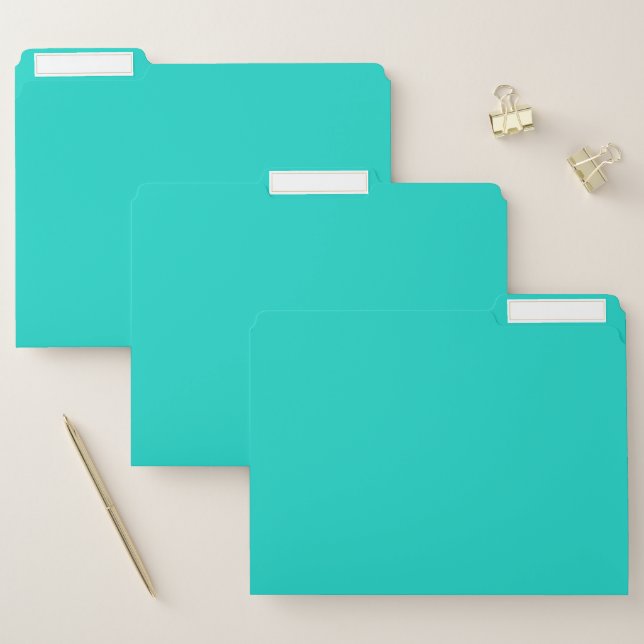 Solid plain bright turquoise file folder (Set)