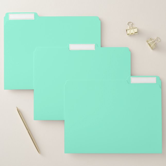 Solid plain magic mint file folder (Set)