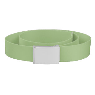 Solid plain sage green belt