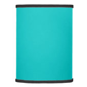 Solid robins egg blue turquoise light sea green lamp shade (Right)