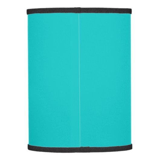 Solid robins egg blue turquoise light sea green lamp shade (Back)