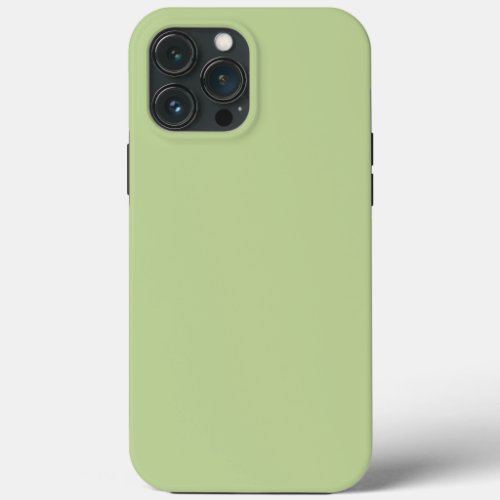 Solid Sage Green by Premium Collections iPhone 13 Pro Max Case