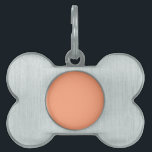 Solid Salmon Pink color background customizable Pet Name Tag<br><div class="desc">This stylish product in salmon pink color background for yourself or as a gift sure to make an impression in all occasions. Click on the "Customize it!" button to reveal tools to customize this product if you wish using a text editor and an image loader. 
 

Intro</div>
