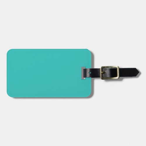 Solid sea green luggage tag